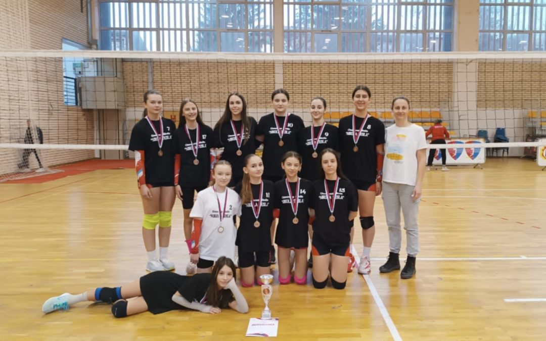 Регионално такмичење у одбојци