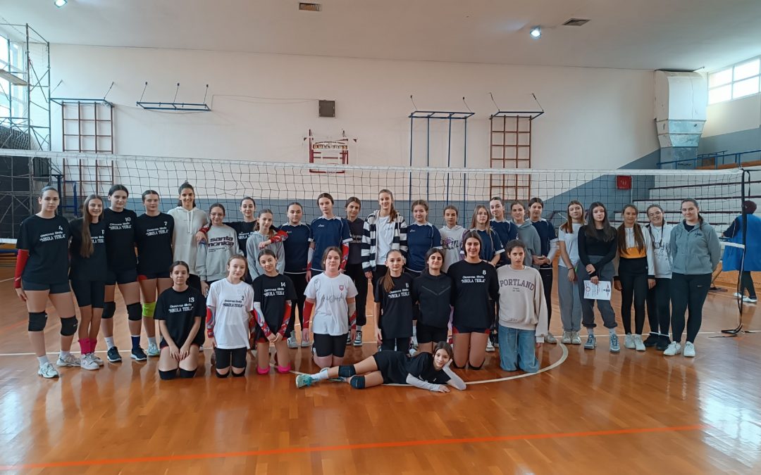 Златне одбојкашице